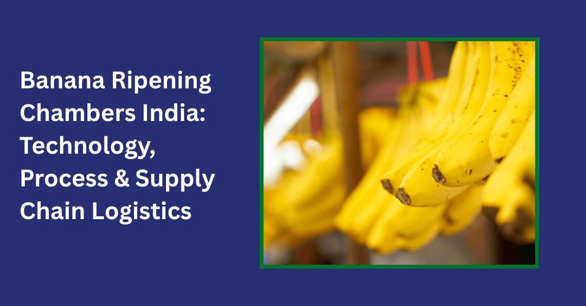 banana ripening chambers India